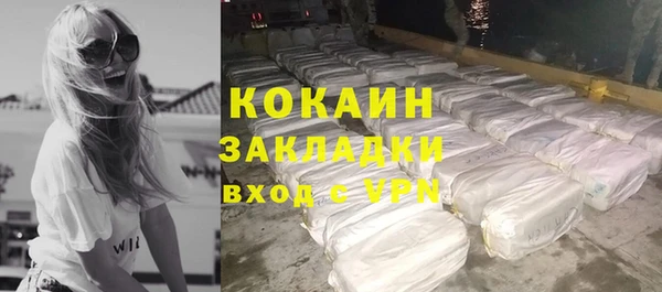 шишки Аркадак
