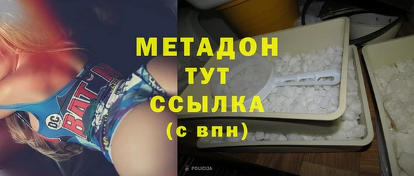 шишки Аркадак
