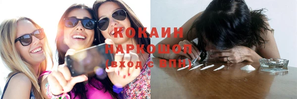 шишки Аркадак