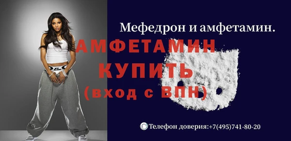 гидра Богородск