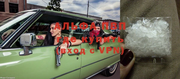 шишки Аркадак