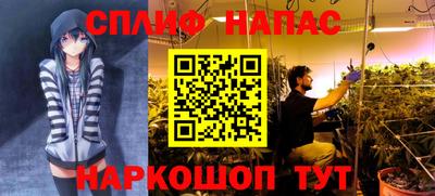 дмт Сланцы