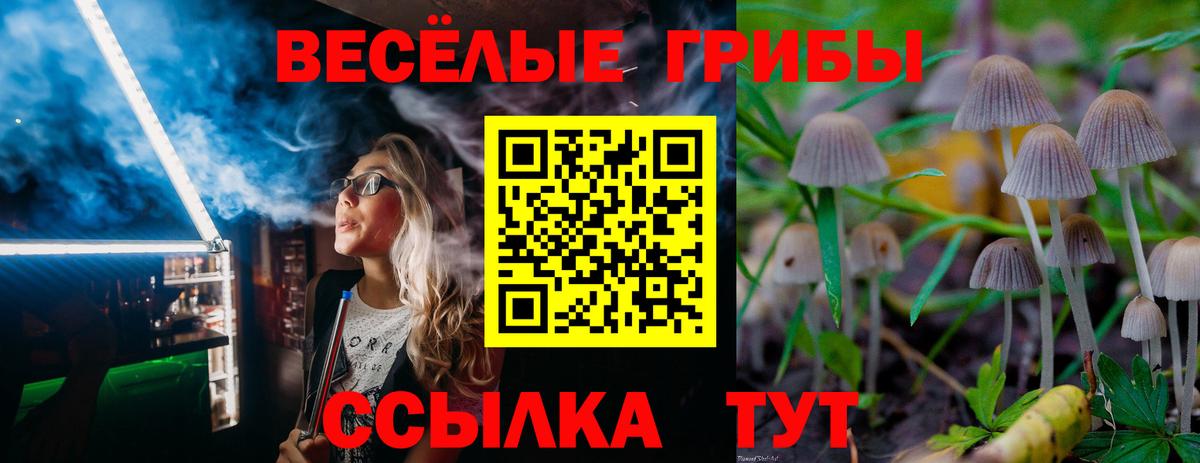 Ачинск  Псилоцибиновые грибы мухоморы  Вход с VPN  Псилоцибиновые грибы Psilocybe 