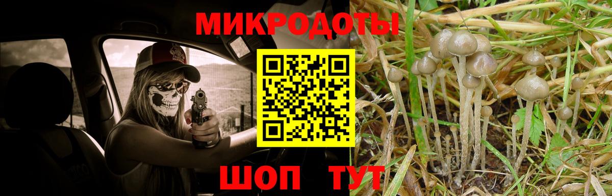 Галлюциногенные грибы GOLDEN TEACHER Ачинск